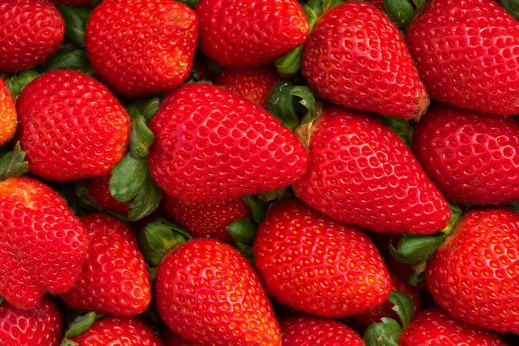 fragole candonga prodotte da rosito frutta