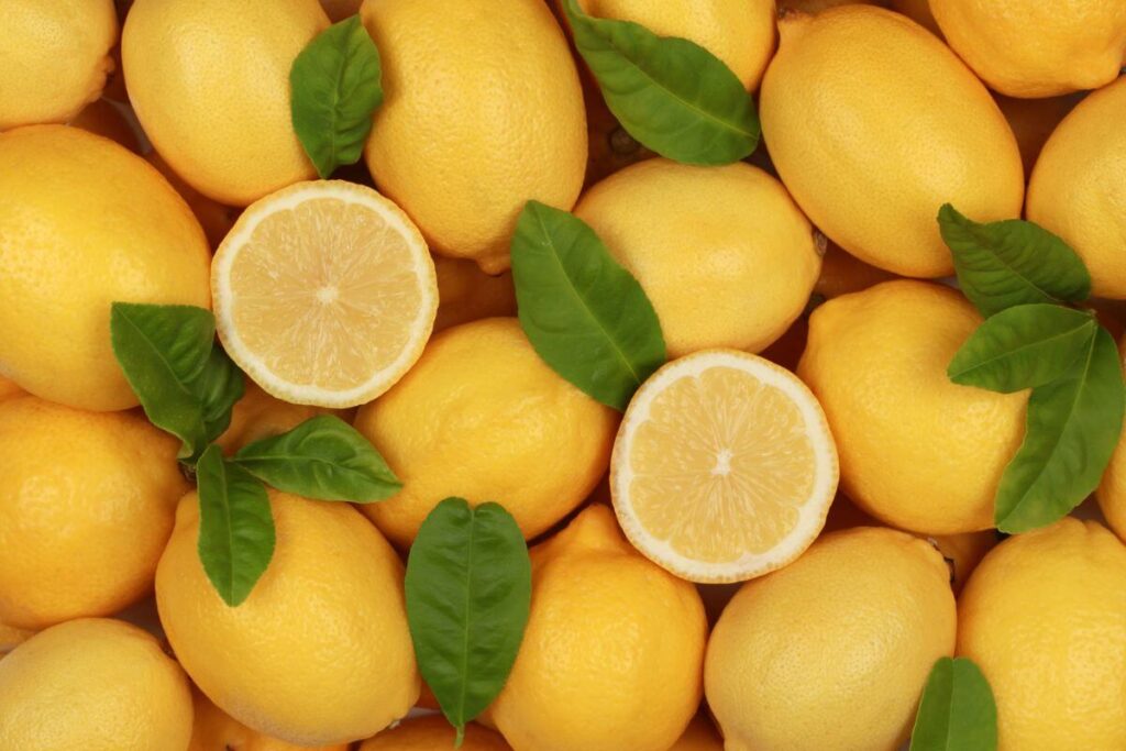 limoni prodotti da rosito frutta